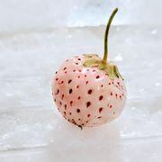 玉手さんのアイコン