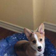 cyberさんのアイコン