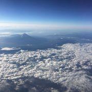 Fahrenheit*****さんのアイコン