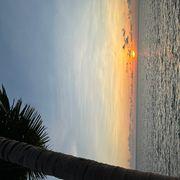 株豪さんのアイコン