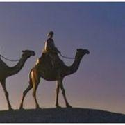 mac*****さんのアイコン