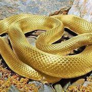 a!kさんのアイコン