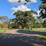 おるかまんさんのアイコン