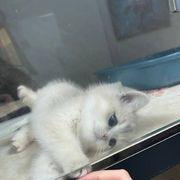 LINE ID:699NKさんのアイコン