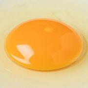 ふーちゃんさんのアイコン