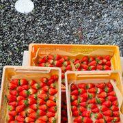 下手の横好きさんのアイコン