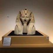 秀吉さんのアイコン