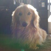 I love PORSCHEさんのアイコン