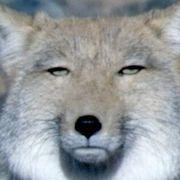 miwaさんのアイコン