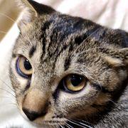 視力0.0001さんのアイコン