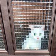 陰謀論者さんのアイコン