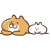 きゃぴさんさんのアイコン