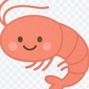 えびさんのアイコン