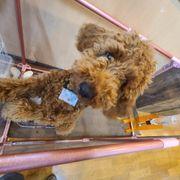 童歌さんのアイコン