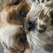 ぽんさんのアイコン