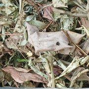 7af*****さんのアイコン