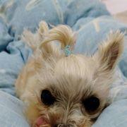 b4c*****さんのアイコン