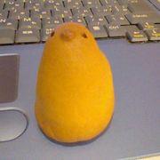 ひよっこヒヨコさんのアイコン