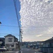 アキラメロンさんのアイコン