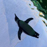 ファンファンさんのアイコン