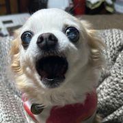 K&ouml;lnさんのアイコン