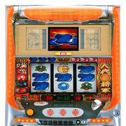 スガチさんのアイコン