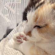 ずーっとピュア2さんのアイコン