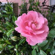 a47*****さんのアイコン