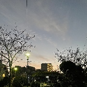 ａｎａｇｏさんのアイコン