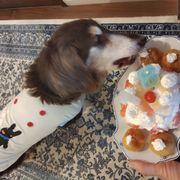 We ∶)さんのアイコン