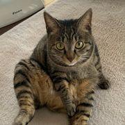 逆張専門さんのアイコン