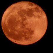 サナイさんのアイコン