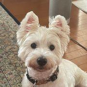 あっくんさんのアイコン