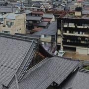ﾄﾘﾄﾝ黃縞多比良さんのアイコン