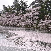 kenボーさんのアイコン