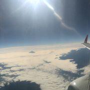 ぶらうんさんのアイコン