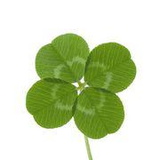 Good luckさんのアイコン