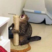 a9e*****さんのアイコン