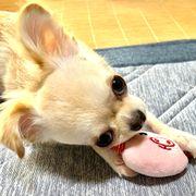 ff4*****さんのアイコン