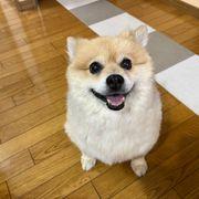 ぽんchanさんのアイコン