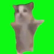 Happyさんのアイコン