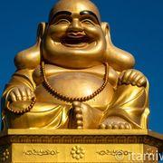 punipuniさんのアイコン