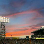 奏人さんのアイコン