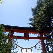 株3年生です｡⁠◕⁠‿⁠◕⁠｡さんのアイコン