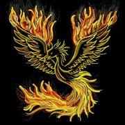 不死鳥軍団副将さんのアイコン