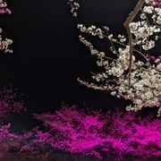 TATOさんのアイコン