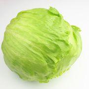 キャベツですさんのアイコン