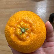 きいろさんのアイコン