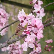 Mさんのアイコン