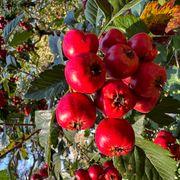 riseさんのアイコン